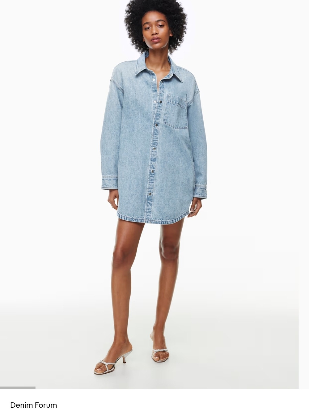 Denim Forum The Maya Denim Dress